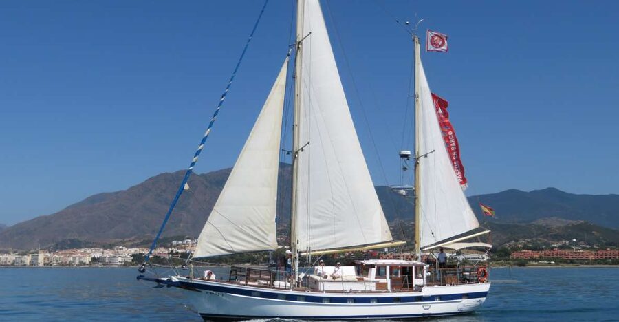 Estepona: Dolphin Watching Sailboat Cruise with Drink - A Quiet Sail With Coastline Views