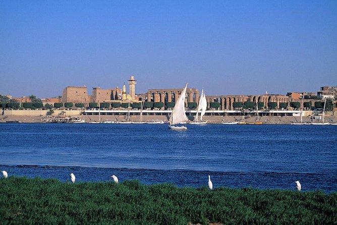 Felucca in Luxor Amazing Sunset sailing {Private} 2 Hours - Who will enjoy this felucca ride most