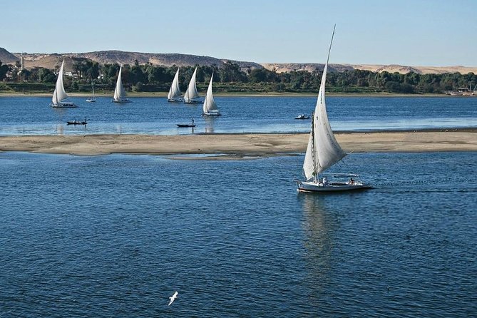 Felucca in Luxor Amazing Sunset sailing {Private} 2 Hours - The everyday Nile scenes are the real attraction