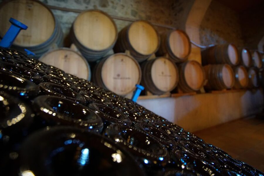 From Barcelona: E-Bike and Sailing Tour with Wine Tastings - Who should book this experience