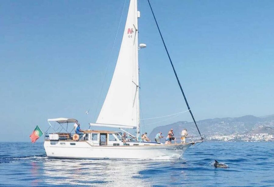 From Funchal: West Bays Sailing Tour with Lunch - Leaving Funchal Marina for open water