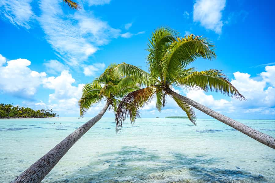 From Tahiti: Tetiaroa Island Tour by Sailing Catamaran - Meeting the Crew at 5:45 AM