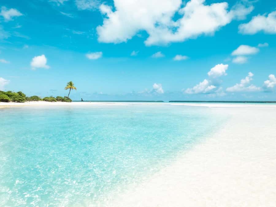 From Tahiti: Tetiaroa Island Tour by Sailing Catamaran - Lunch with Tahitian Fish and Barbecue Tuna