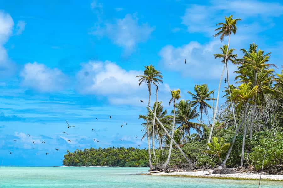 From Tahiti: Tetiaroa Island Tour by Sailing Catamaran - The 2.5-Hour Catamaran Ride to Tetiaroa