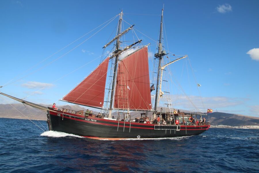 Fuerteventura: 4-Hour Pirate Sailing Adventure - A Canarian lunch at sea