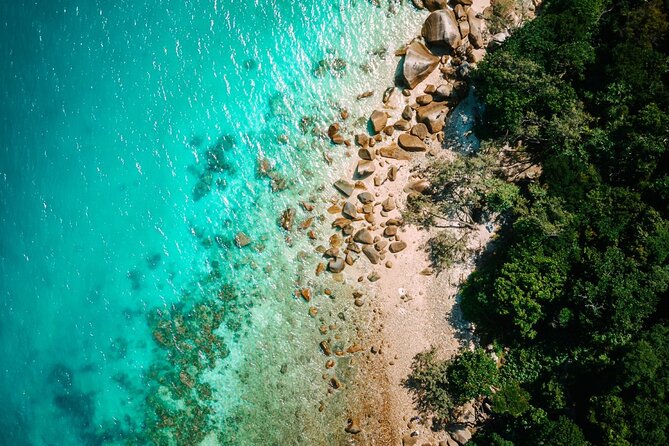 Full-Day Great Barrier Reef Sailing Trip from Cairns - Marine life is the star, not a guaranteed checklist