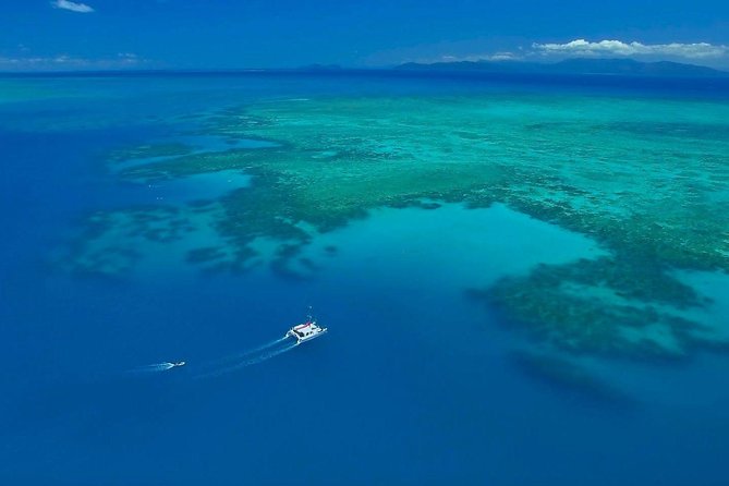 Full-Day Great Barrier Reef Sailing Trip from Cairns - Food that keeps the day moving