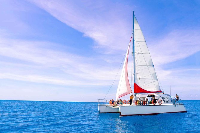Full-Day Great Barrier Reef Sailing Trip from Cairns - Is $179.31 good value?