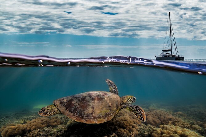 Full Day Low Isles Sailing & Snorkelling Cruise from Port Douglas - Lunch aboard the catamaran