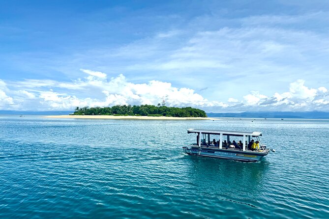 Full Day Low Isles Sailing & Snorkelling Cruise from Port Douglas - Who should book this Low Isles cruise?