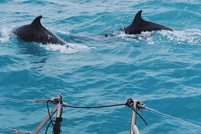 Full Day Sailing Tour Catania-Acitrezza - Snorkeling near Lachea Island