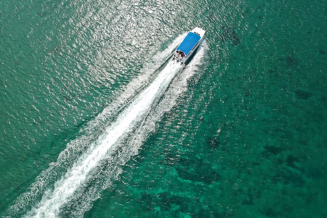 Full-Day Tour to Saona Island Sailing with Lunch and Beverages - Palmilla natural pool and sandbar