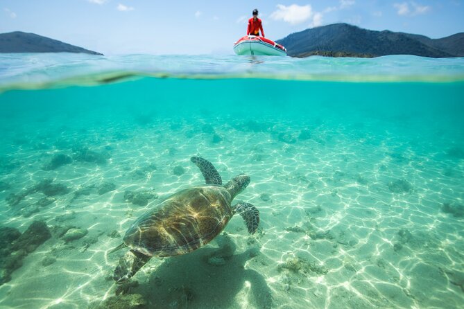Full-Day Whitsunday Sail and Snorkel Adventure with Lunch - Langford Island Is Not Whitehaven Beach