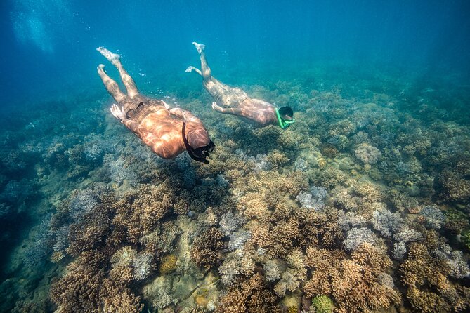Full-Day Whitsunday Sail and Snorkel Adventure with Lunch - Who Will Enjoy This Whitsunday Day?