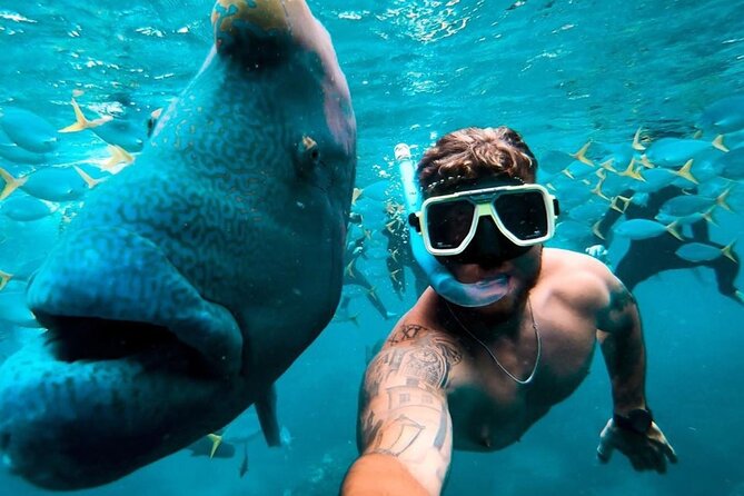 Full-Day Whitsunday Sail and Snorkel Adventure with Lunch - Practical Details Before You Book
