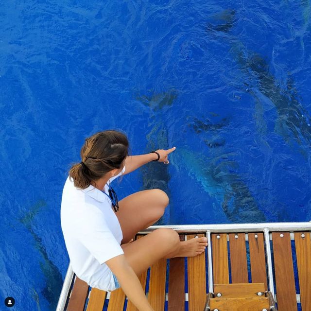 Funchal: Dolphin and Whale Watching Sailing Trip - Leaving Funchal Marina for the open sea