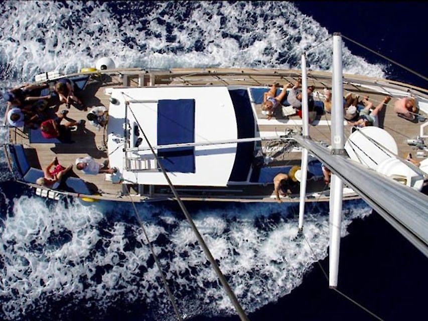 Funchal: Dolphin and Whale Watching Sailing Trip - Drinks, conversation, and the return to Funchal