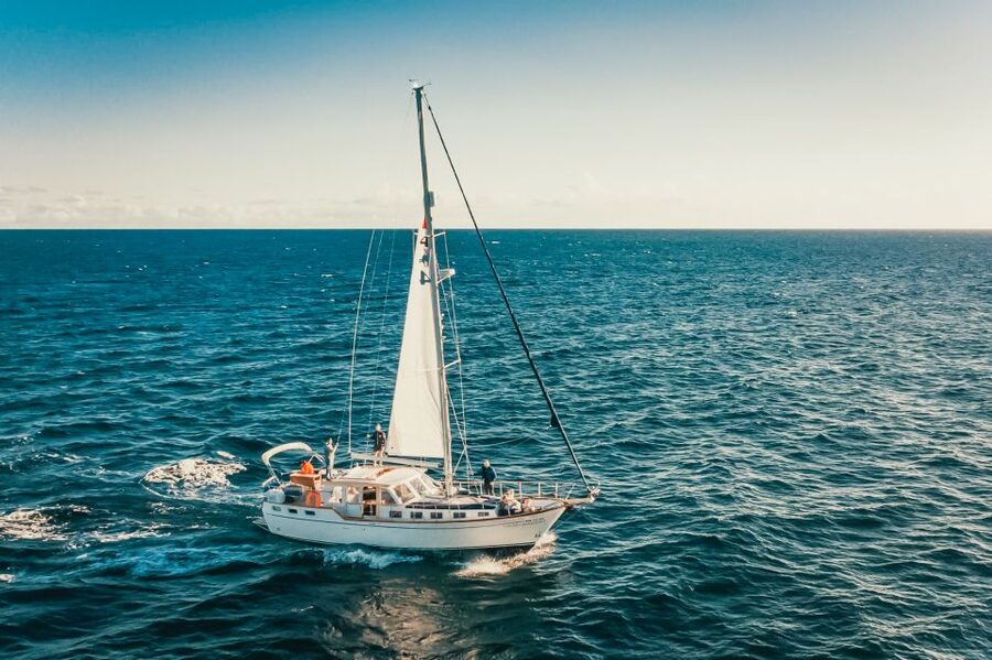 Funchal: Dolphin and Whale Watching Sailing Trip - Practical details that make the day easier