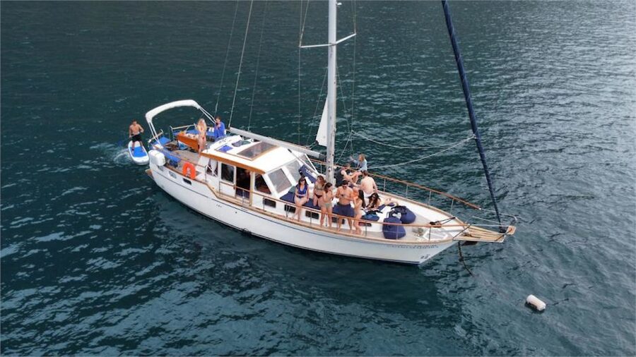 Funchal: Dolphin and Whale Watching Sailing Trip - Searching for dolphins, whales, and sea turtles