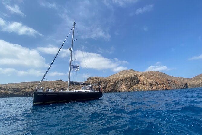 Funchal Half and Full Day Private Sailboat Tour - Whale and dolphin watching without a forced wildlife show
