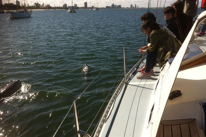 Gold Coast Sailing Cruise with sparkling wine & nibbles platter - Why this small yacht cruise works so well