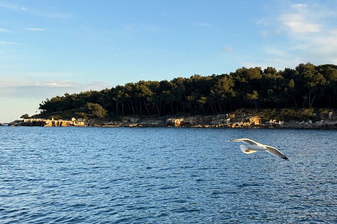 Golf Juan: Sunset Sailing Cruise with aperitif at the Island - Sunset from the water near Antibes