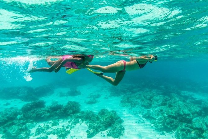 Half-Day Snorkel Sail Tour with Caribbean Lunch - The SS Antilla wreck is the underwater highlight