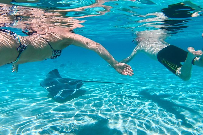 Half Day Tour : Moorea Snorkeling & Sailing on a Catamaran named Taboo - Ōpūnohu Bay and Moorea’s island stories