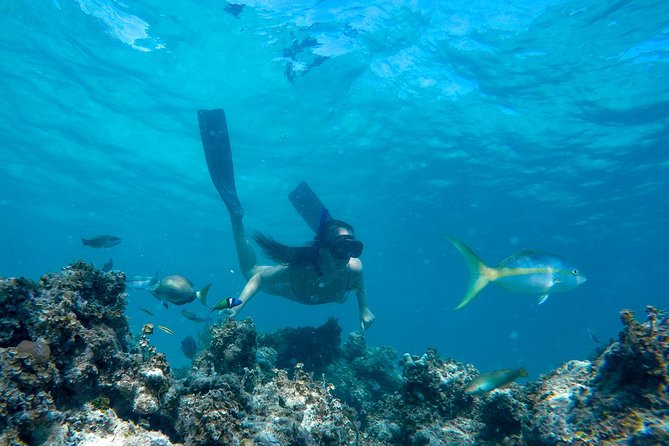 Happy Hour Sailing Cruise from Punta Cana - Starting at the Marinarium Base
