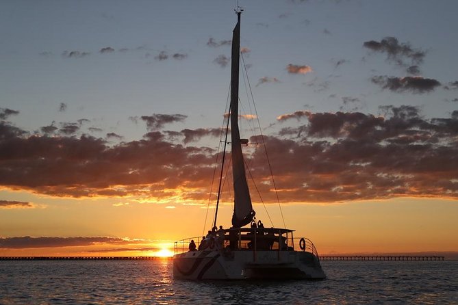 Hervey Bay Champagne Sunset Sail - Five things to know before you book