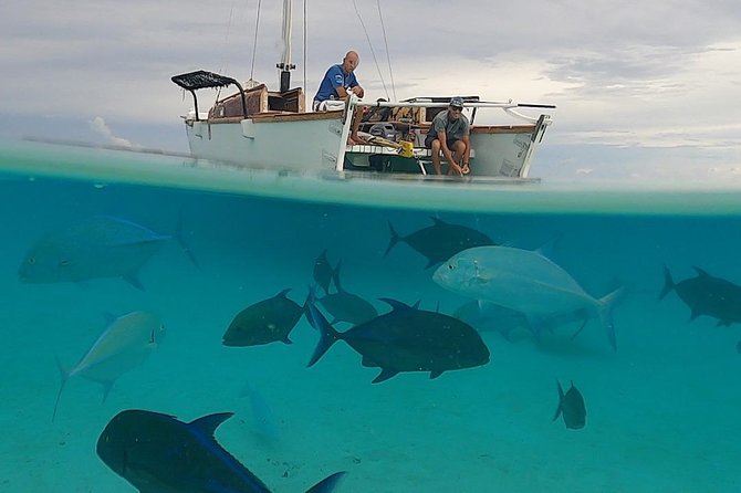 Introduction to sailing and discovering the lagoon - Sandbanks, motu, and places with a story