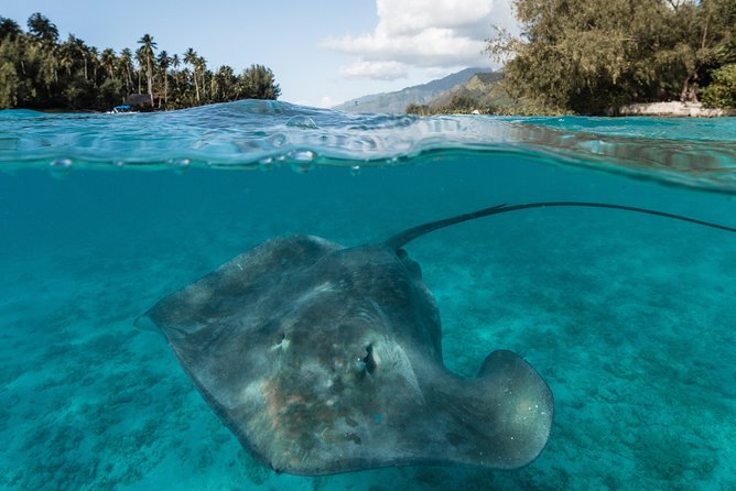 Introduction to sailing and discovering the lagoon - How the four hours usually feel