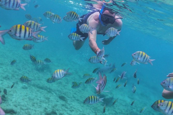 Isla Mujeres Luxury Sailing: Adults Only or Family Friendly - Isla Mujeres: Beautiful Water, Busy Shopping Streets