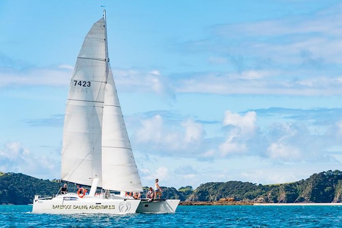 Island Hopper Day Cruise - sailing to wildlife sanctuary island - 6 hr cruise - Quick take: what makes this cruise special