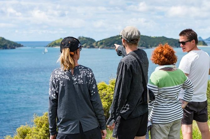 Island Hopper Day Cruise - sailing to wildlife sanctuary island - 6 hr cruise - How much value do you get for NZ$139.63?
