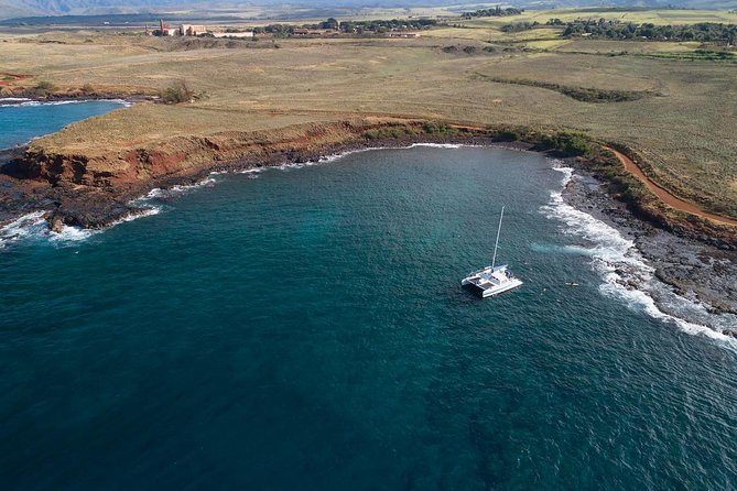 Kauai’s Na Pali Coast Snorkel and Sail Tour - Wildlife, crew service, and the strongest part of the day