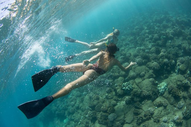 Kauai’s Na Pali Coast Snorkel and Sail Tour - Who should book this catamaran tour?