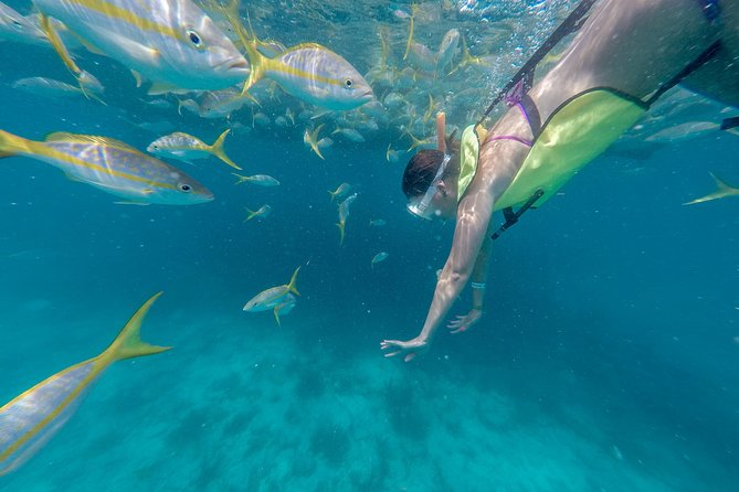 Key West Afternoon Snorkel Sail with Unlimited Cocktails! - What the reef snorkeling is really like