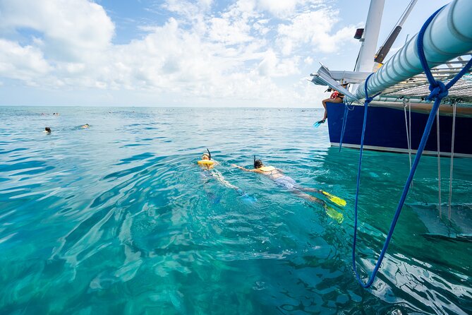 Key West Afternoon Snorkel Sail with Unlimited Cocktails! - Who will enjoy this afternoon sail