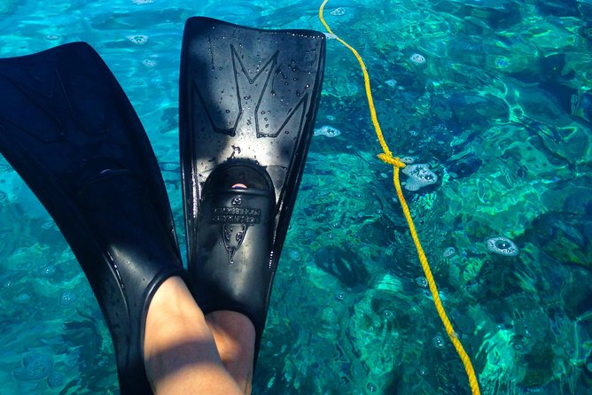 Key West Reef Snorkel & Sail Adventure - The crew makes the difference