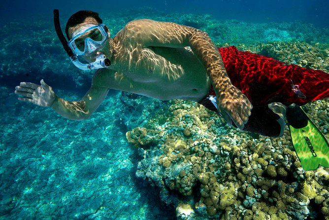 Key West Rum and Reggae: Reef Snorkel Adventure and Sunset Sail - A reef trip with a built-in sunset finale