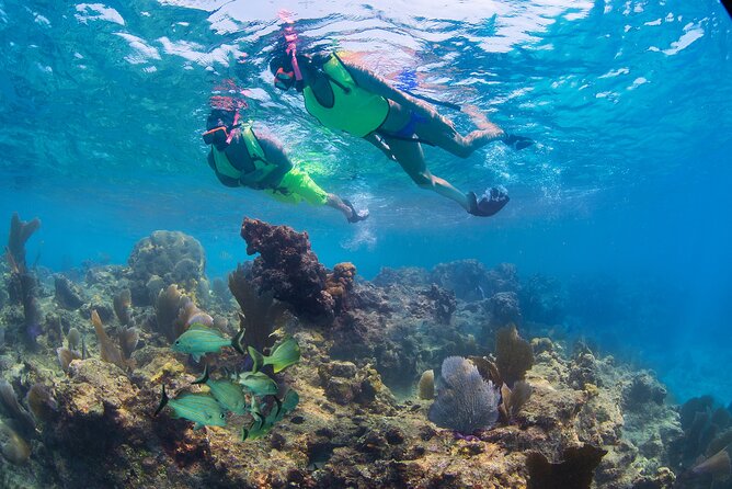 Key West Rum and Reggae: Reef Snorkel Adventure and Sunset Sail - Rum punch, reggae, and the ride home