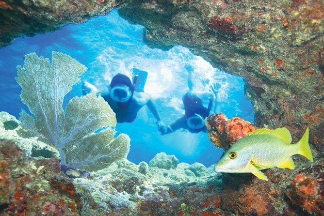 Key West Rum and Reggae: Reef Snorkel Adventure and Sunset Sail - How the $59.95 price holds up