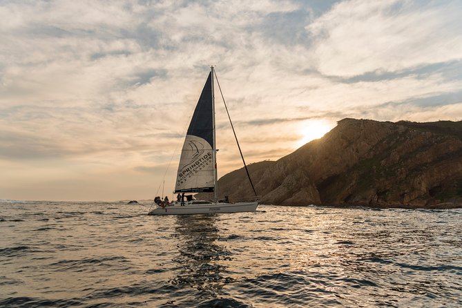 Knysna Sunset Sailing Cruise, Light Dinner & Bubbly - Price, value, and who will enjoy it most