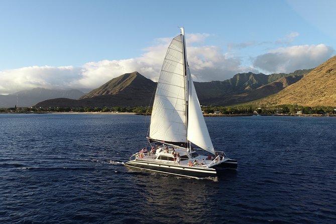Ko Olina Catamaran Sail and Snorkel with Lunch - Snorkeling among tropical fish