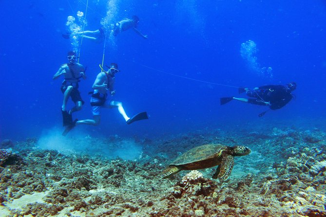 Ko Olina Catamaran Sail and Snorkel with Lunch - Lunch, cocktails, and the trip back