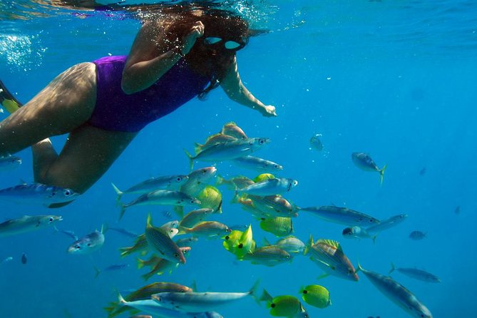 Ko Olina Catamaran Sail and Snorkel with Lunch - Who will enjoy this outing most