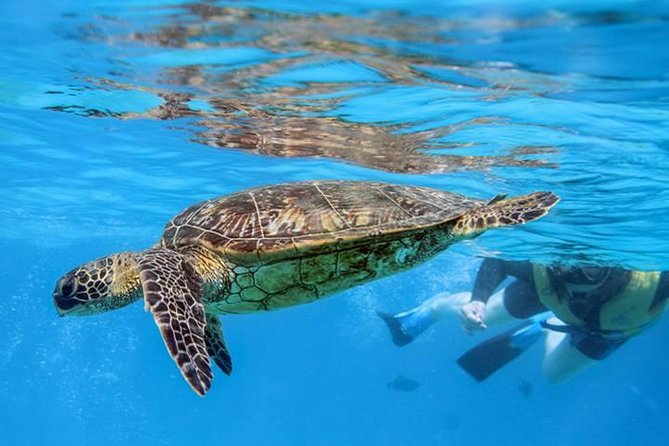 Ko Olina Catamaran Sail and Snorkel with Lunch - Timing, group size, and possible drawbacks