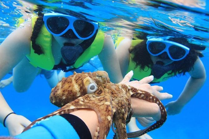 Ko Olina Catamaran Sail and Snorkel with Lunch - Sailing along Oahu’s west coast