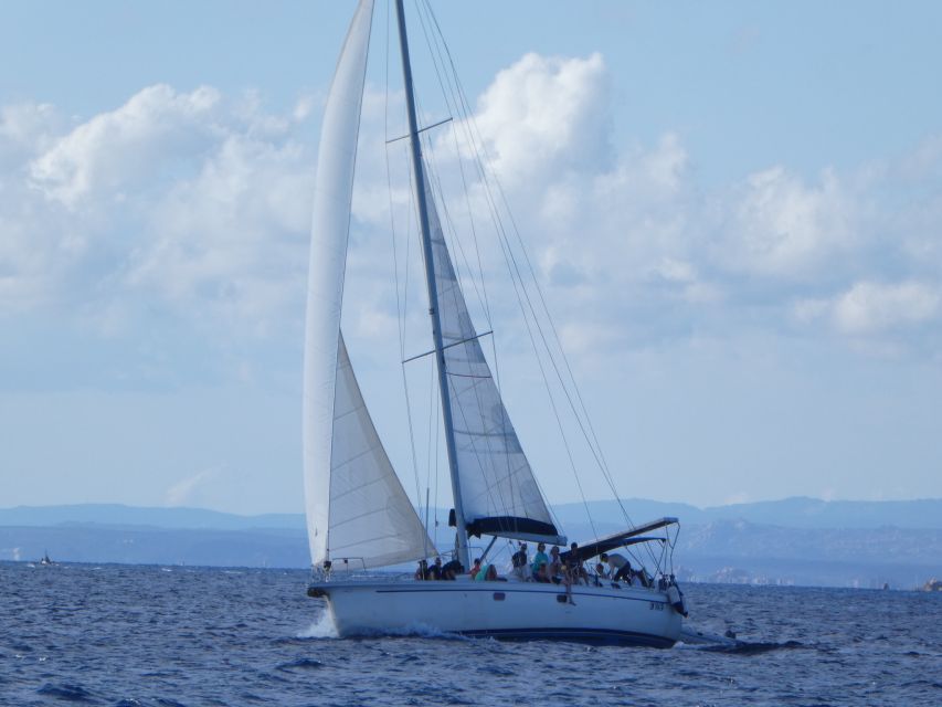La Maddalena: Full-Day Sailing Trip - Meeting in Porto Pollo and Getting Underway